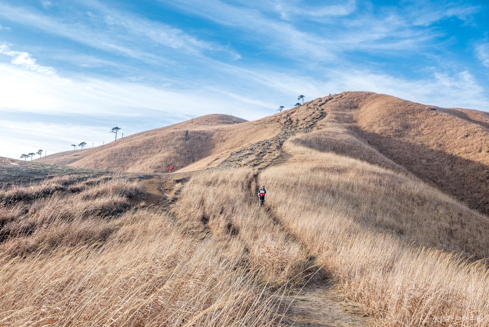 微信图片_20200108101332