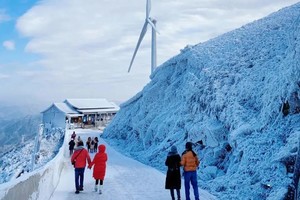 2.7-2.8日降温遇冰雪天气每天出发  【冰雪云冰山1天】 云冰山看雪景/赏冰挂/观云海打卡冰雪世界