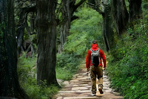 汉中/西安集合【古蜀道6天徒步】4.19日/5.1日/5.16日/6.6日/6.19日/7.4日/7.18日/8.1日