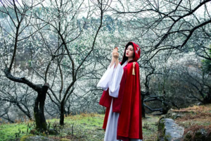 遇见山海 工作日/周六/日【从化十登丨第五峰桂峰山】山峦叠翠、桂峰山花海，探白色从化