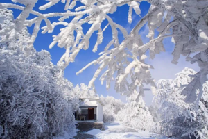 每周六&冰雪期出发【徒步衡山汽车团】特惠398元（含山上住宿）南岳衡山赏雾淞冰雪奇观，登祝融峰顶祈福许愿2天活动