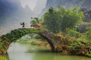 遇见山海 每周六/日【英西峰林徒步1天】广东十大徒步圣地-行摄英西峰林精华段，饱览“广东小桂林”喀斯特奇境