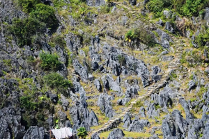 遇见山海 每周六/日【阳山秦汉古道】 徒步古道10公里，探寻历史记忆，感受古道之秋