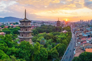 动车【印象泉州3天】每周五 漫步千年古城泉州，体验蟳浦渔村簪花，打卡海上佛国洛伽寺，闲逛小西埕、南少林，领略梧林古村落