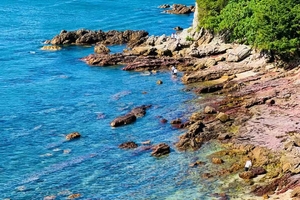 遇见山海 每周六/日【深圳山海径】 徒步最美海岸线，登顶大雁顶，打卡《美人鱼》拍摄地