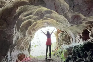 工作日/周六/日出发  从化神秘狮象岩遗址+桂峰山李子花1天（不登山亲子线路）