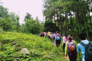 遇见山海 特惠49元 每周六日出发【茶山吃鸡】行走高明茶山赏美景，品尝美味茶山鸡，让舌尖行走山野！