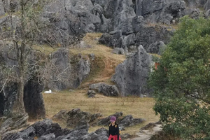  遇见山海 工作日/六/日【阳山梅子坪古道9公里】打卡清远梅子坪古道，广东版墨石公园，喀斯特峰林徒步之旅~