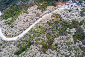 遇冰雪发团【水浪花谷+云冰山2天】漫步水浪花谷，打卡岭南雪乡云冰山，赏雾淞冰挂云海！