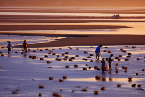 春节5期【惠东过大年】看妈祖文化非遗盛宴，海边篝火，赏烟花，体验海边赶海，住海景房，邂逅双月湾日落、畅游海龟湾、出海捕鱼
