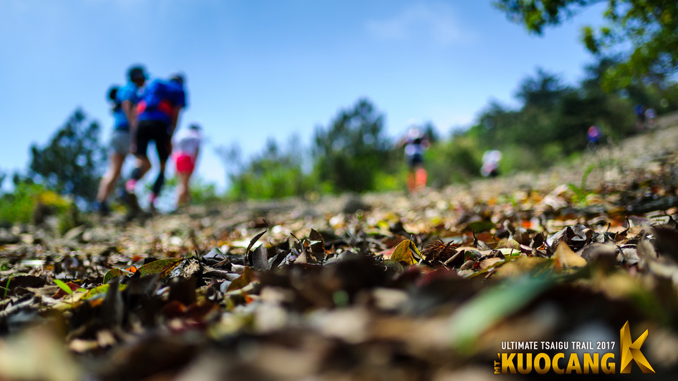 括苍柴古2017_树哥_0818