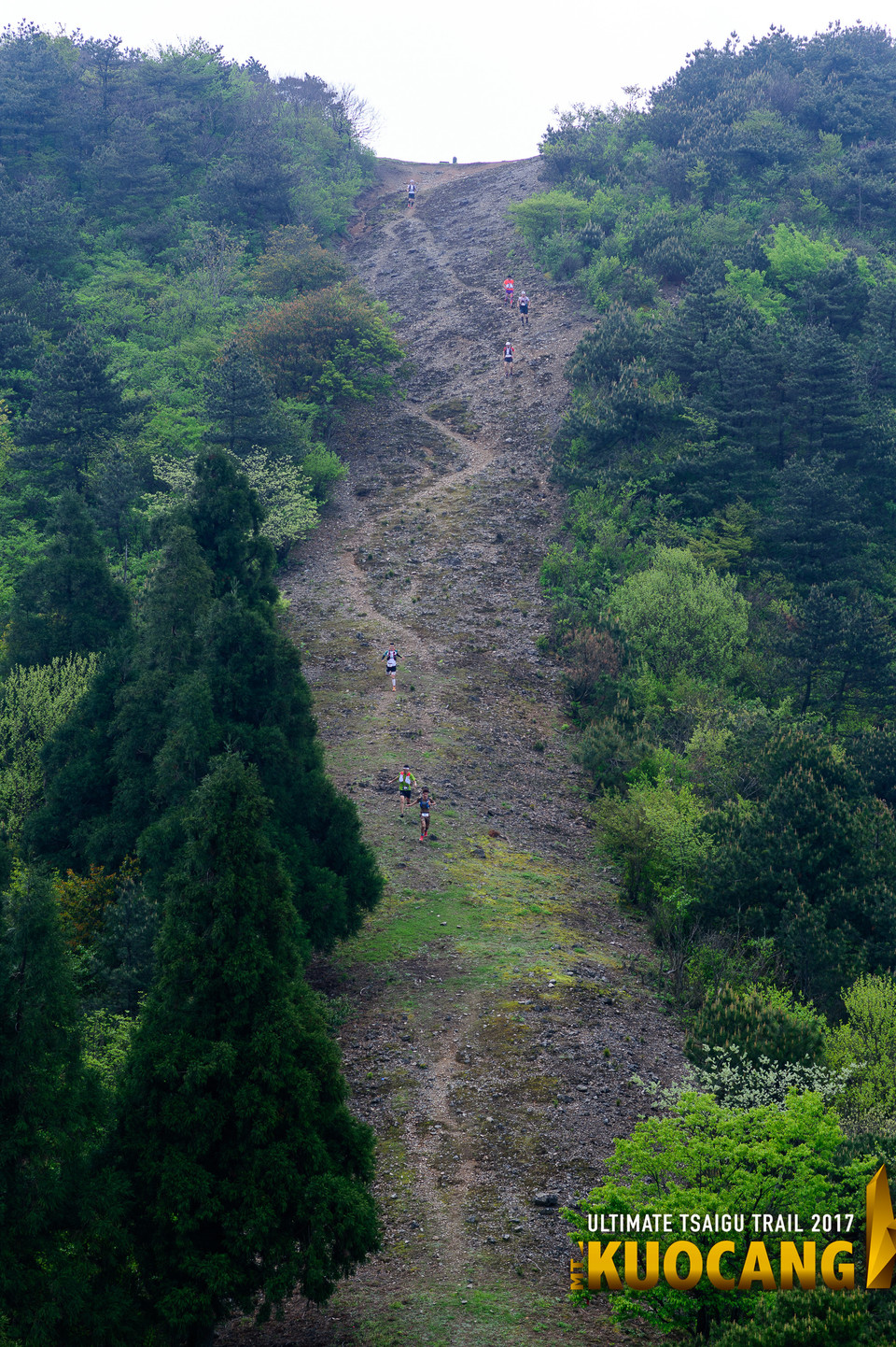 括苍柴古2017_树哥1_003