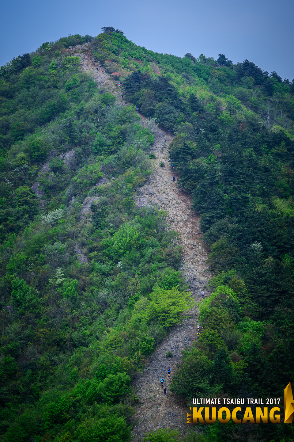 括苍柴古2017_树哥1_099