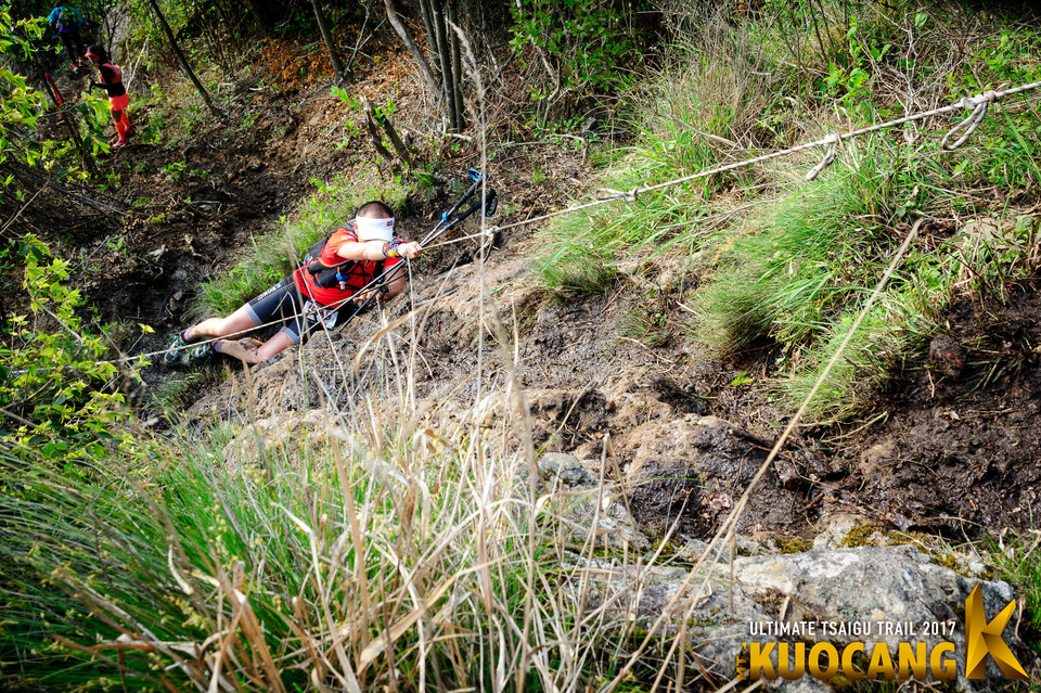 括苍柴古2017_树哥_2385