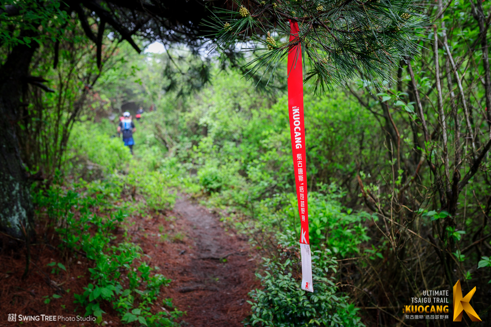 20180414_柴古括苍2018_0437