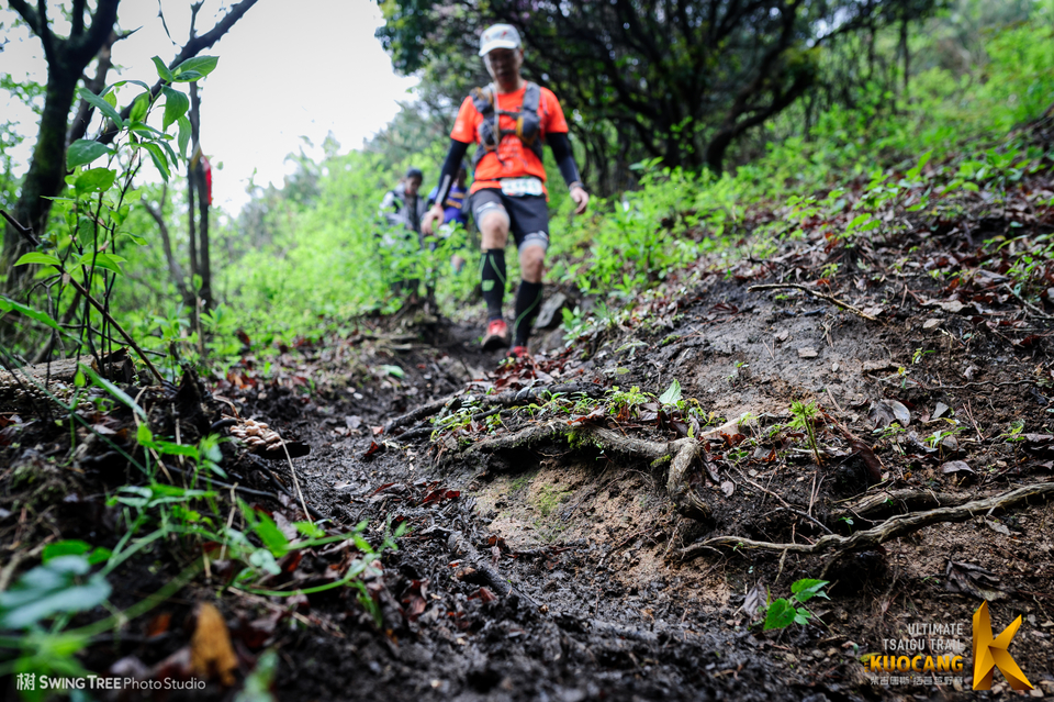 20180414_柴古括苍2018_0540