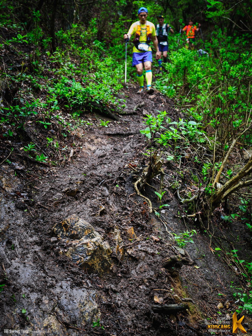 20180414_柴古括苍2018_0623