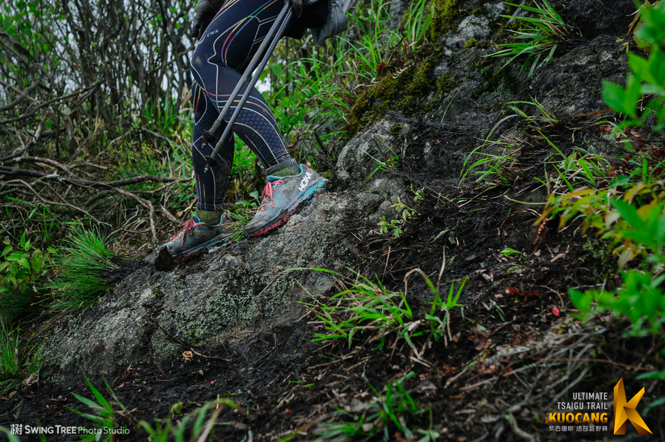 20180414_柴古括苍2018_1189