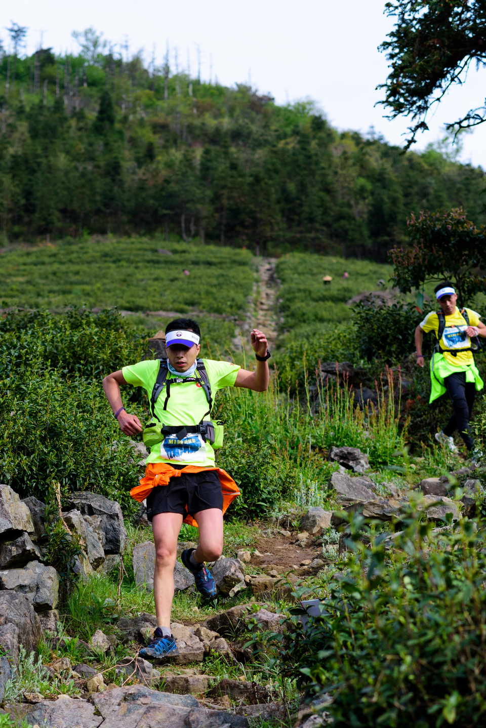 柴古唐斯plus_括苍山之巅_20150411_64