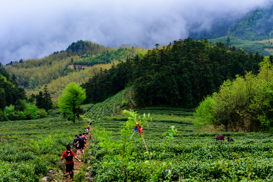 柴古PLUS_括苍_0675