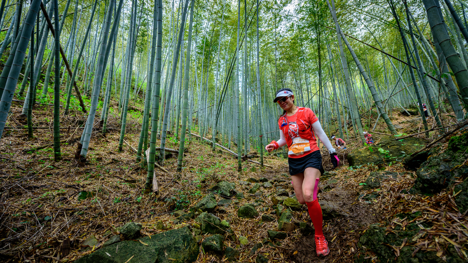 柴古PLUS_括苍_2308