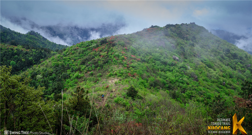 20180414_柴古括苍2018_0147