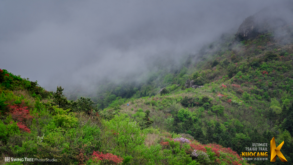 20180414_柴古括苍2018_0200