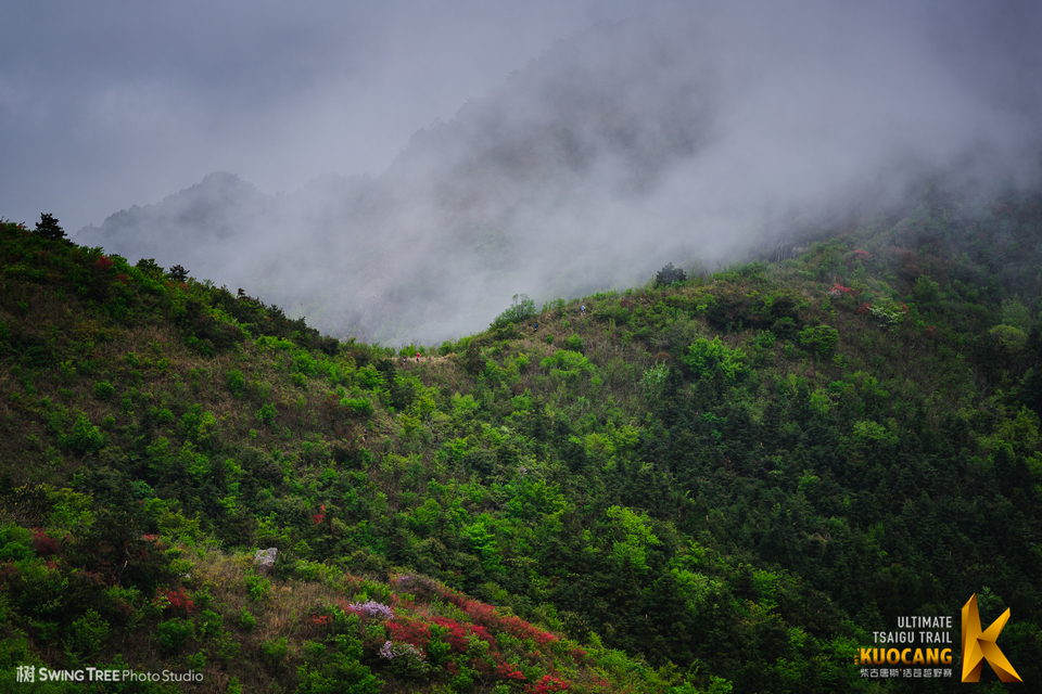20180414_柴古括苍2018_0205