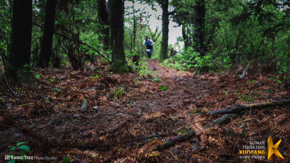 20180414_柴古括苍2018_0464