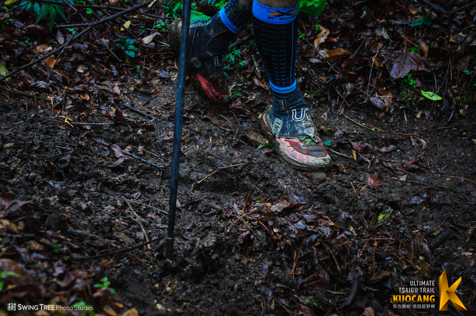 20180414_柴古括苍2018_0558