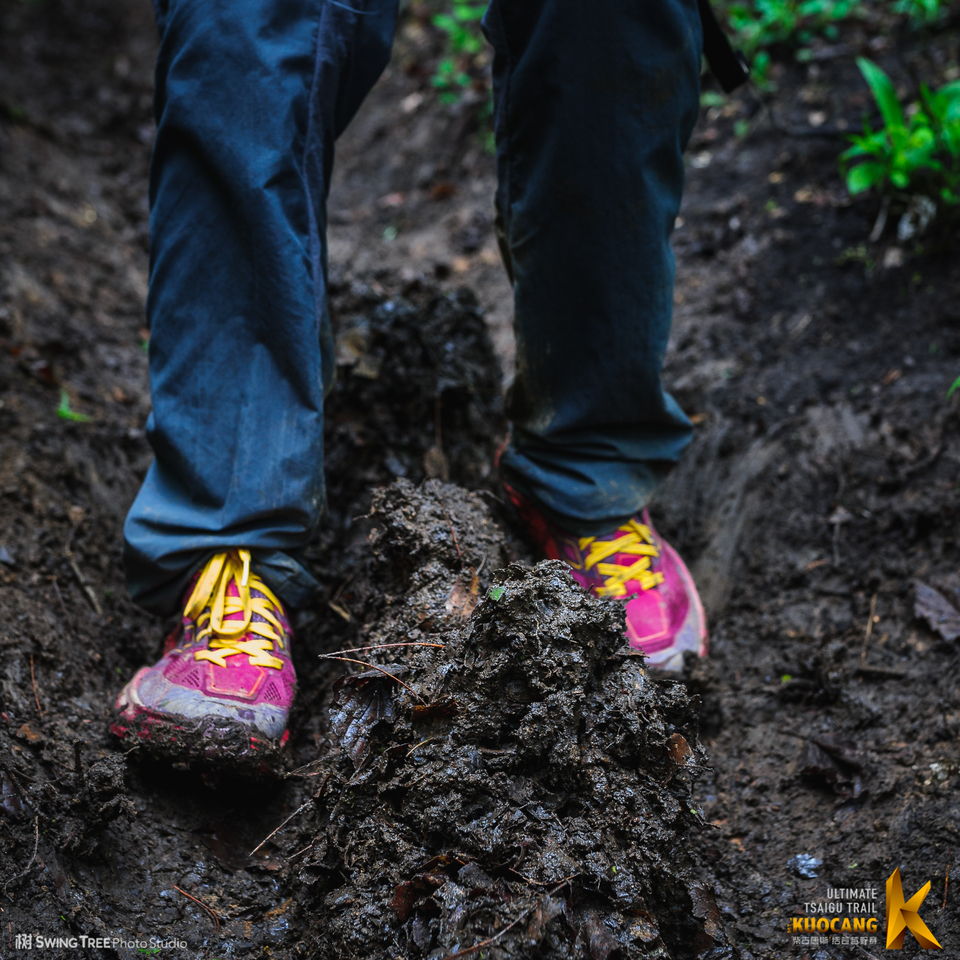 20180414_柴古括苍2018_0585