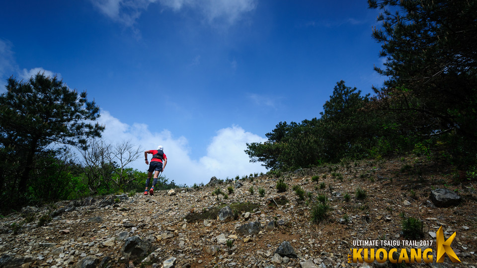 括苍柴古2017_树哥_0145