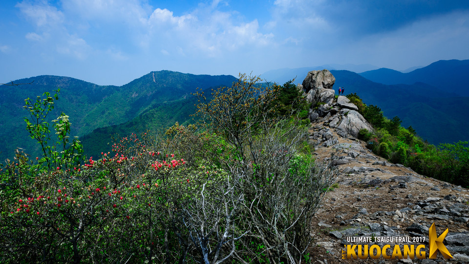 括苍柴古2017_树哥_0211