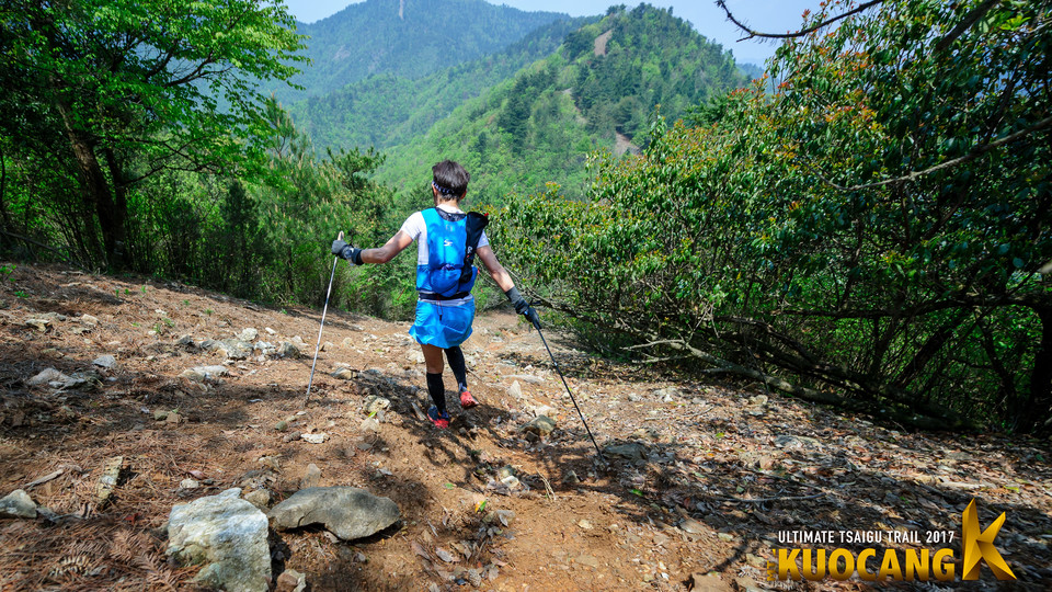 括苍柴古2017_树哥_0386