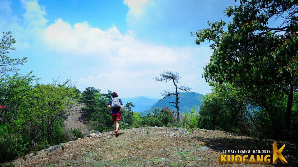 括苍柴古2017_树哥_0578