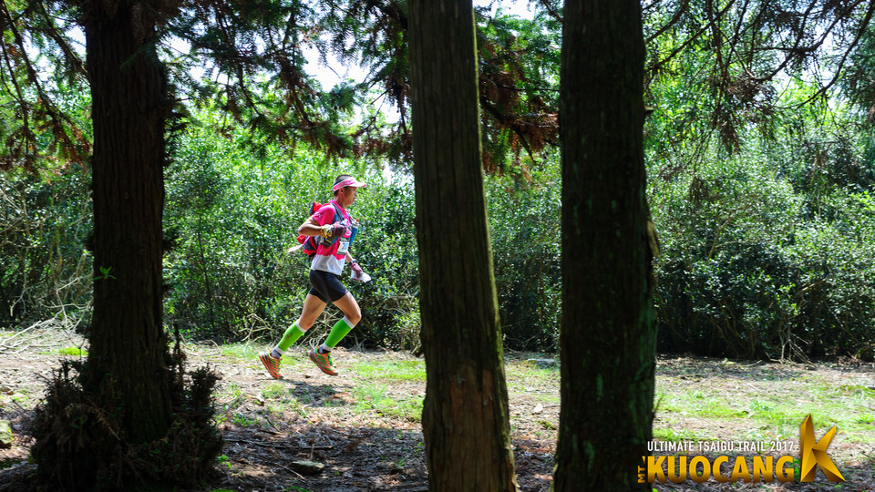 括苍柴古2017_树哥_0742