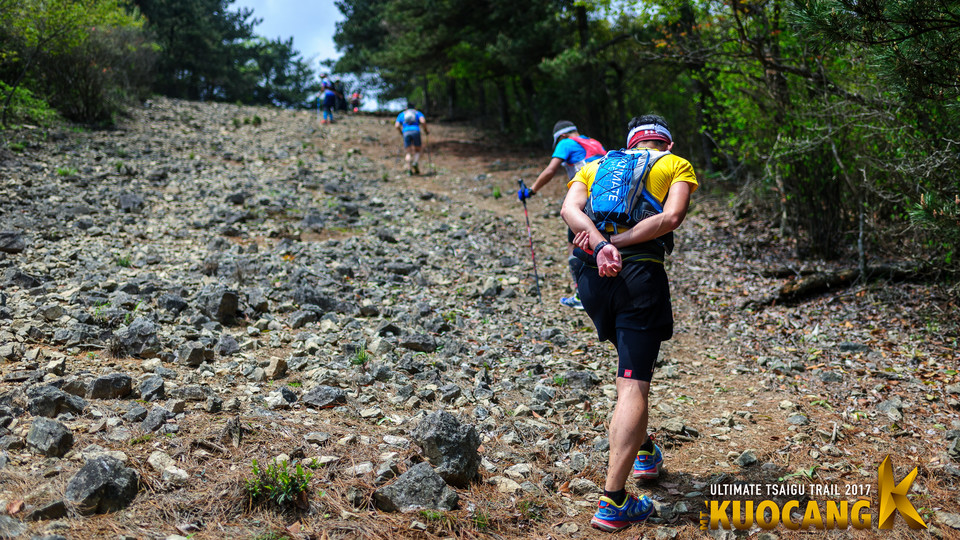 括苍柴古2017_树哥_0886
