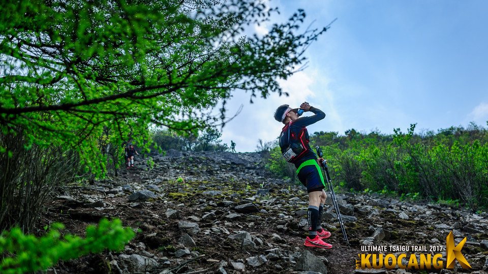 括苍柴古2017_树哥_1207