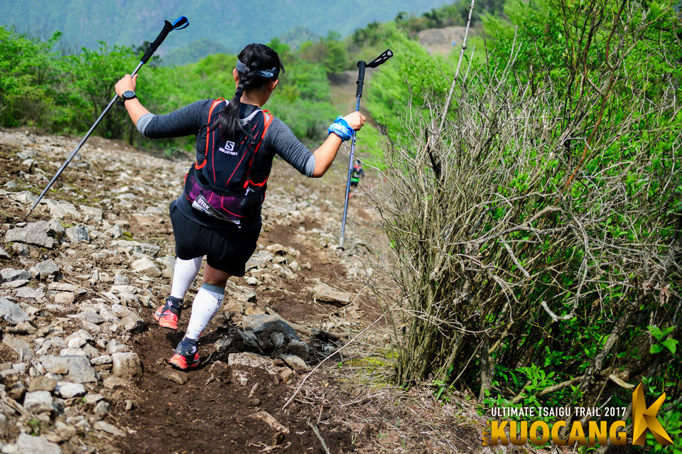 括苍柴古2017_树哥_1230