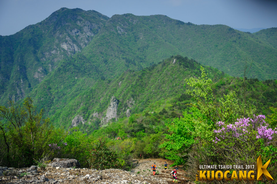 括苍柴古2017_树哥_1694