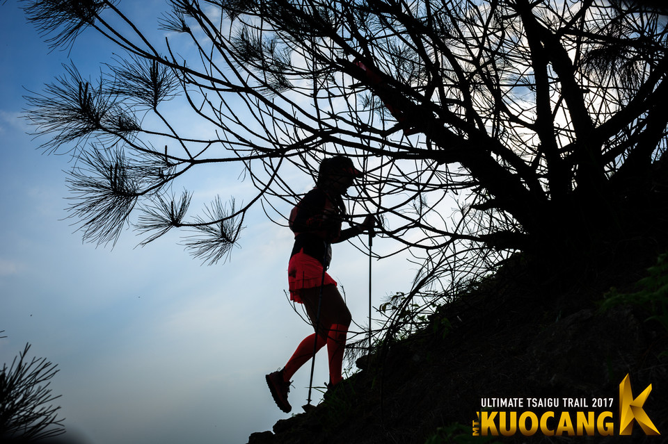 括苍柴古2017_树哥_2311