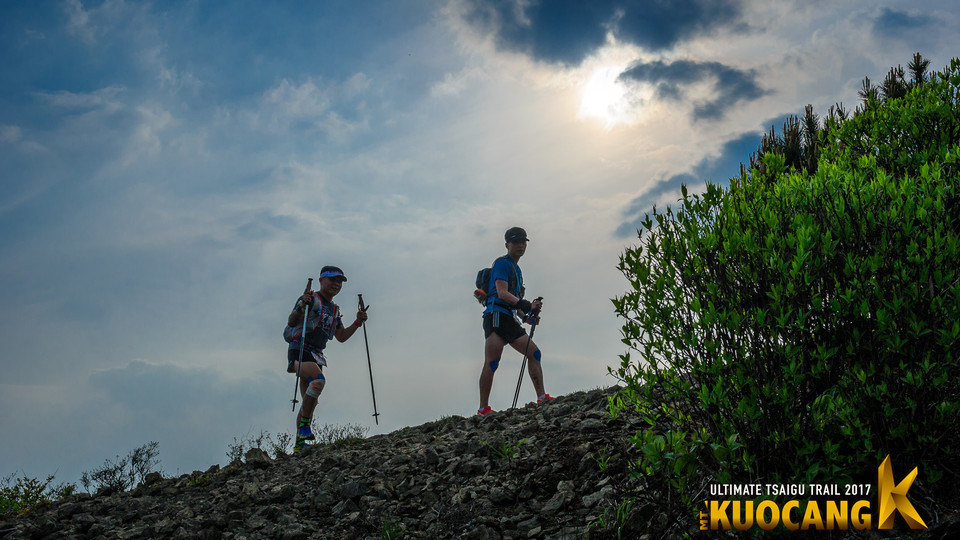 括苍柴古2017_树哥_2330