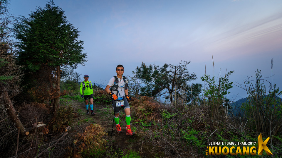 括苍柴古2017_树哥_2890