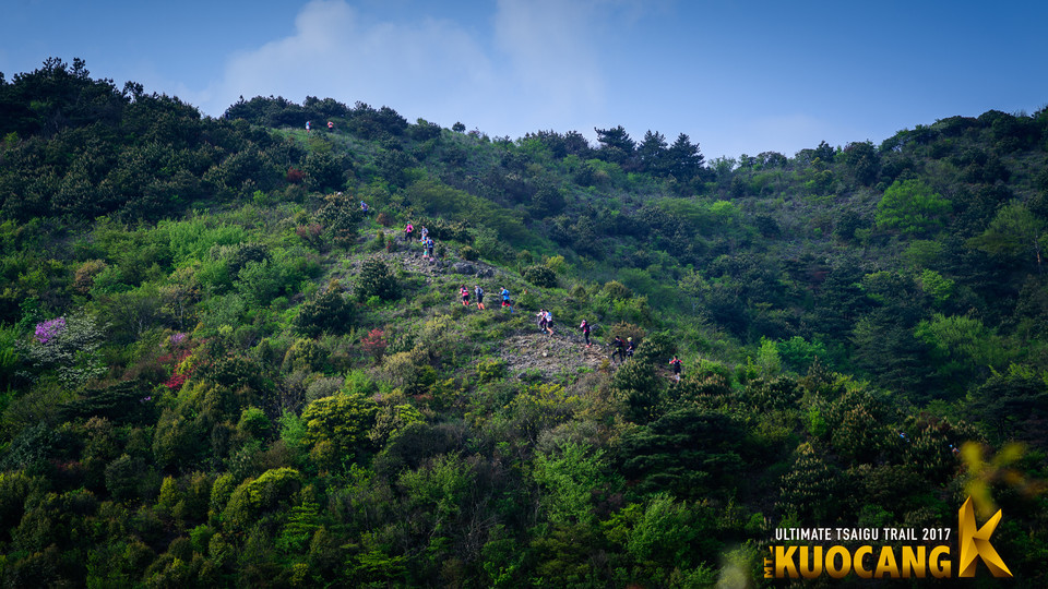 括苍柴古2017_树哥1_104