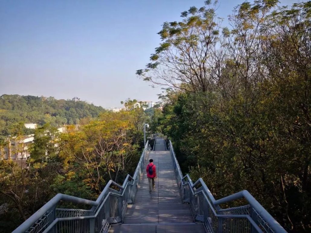 航拍,华盖山栈道