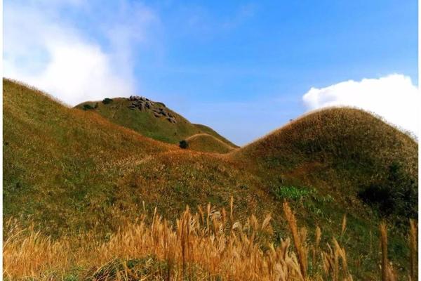11.10【又一年“扫黄季”】大南山——惠州大南山登山徒步活动