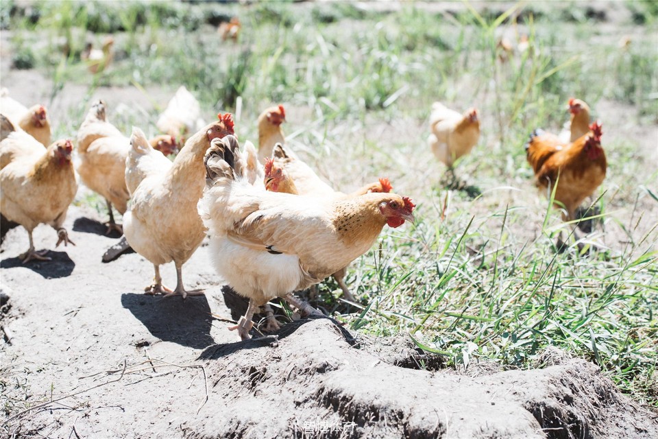 2018宁德下党徒步大会-127