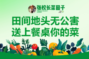 张校长.菜园子 会员年费