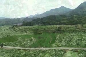 2019建宁·花海骑行