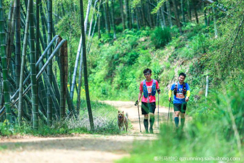 微信图片_20190404085236